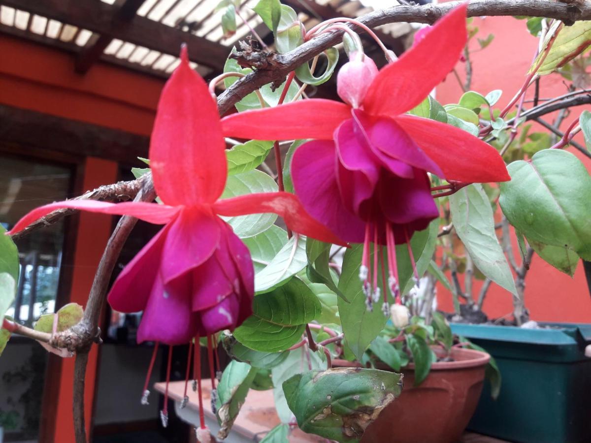 Posada La Sonada Tafi del Valle Bagian luar foto